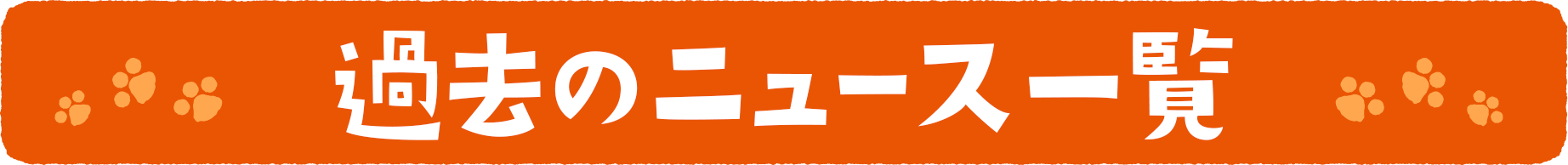 過去のニュース一覧