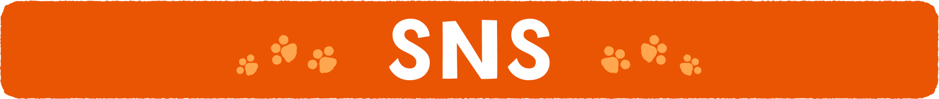 SNS
