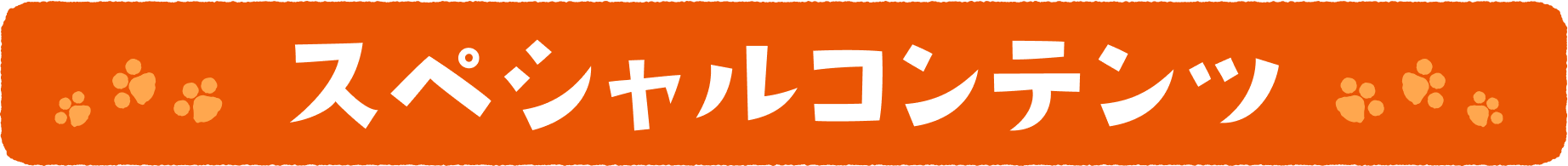 スペシャルコンテンツ