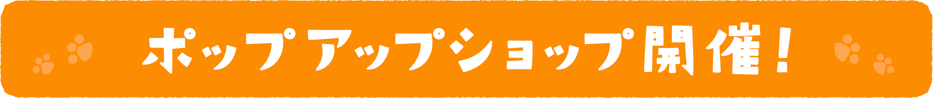 ポップアップショップ開催!